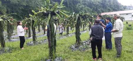 ६४ वर्ष पछि फेला पर्यो अनौठो चरा, आधा मानिस, आधा पंक्षी !