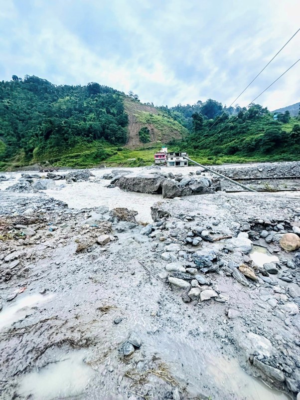 ६४ वर्ष पछि फेला पर्यो अनौठो चरा, आधा मानिस, आधा पंक्षी !