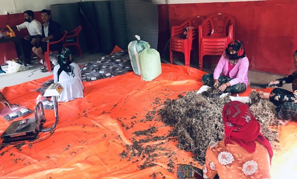 ६४ वर्ष पछि फेला पर्यो अनौठो चरा, आधा मानिस, आधा पंक्षी !