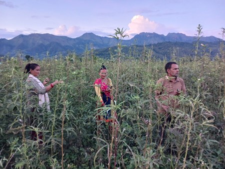 ६४ वर्ष पछि फेला पर्यो अनौठो चरा, आधा मानिस, आधा पंक्षी !