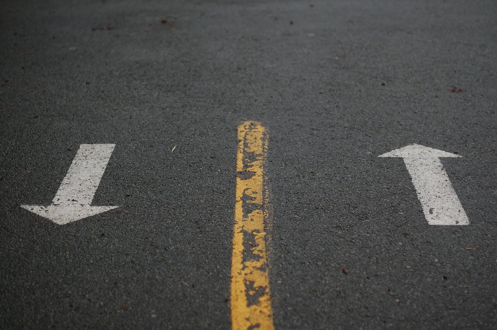 ६४ वर्ष पछि फेला पर्यो अनौठो चरा, आधा मानिस, आधा पंक्षी !