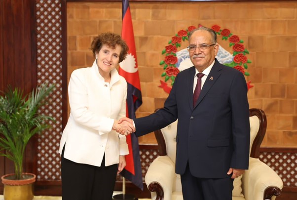 ६४ वर्ष पछि फेला पर्यो अनौठो चरा, आधा मानिस, आधा पंक्षी !