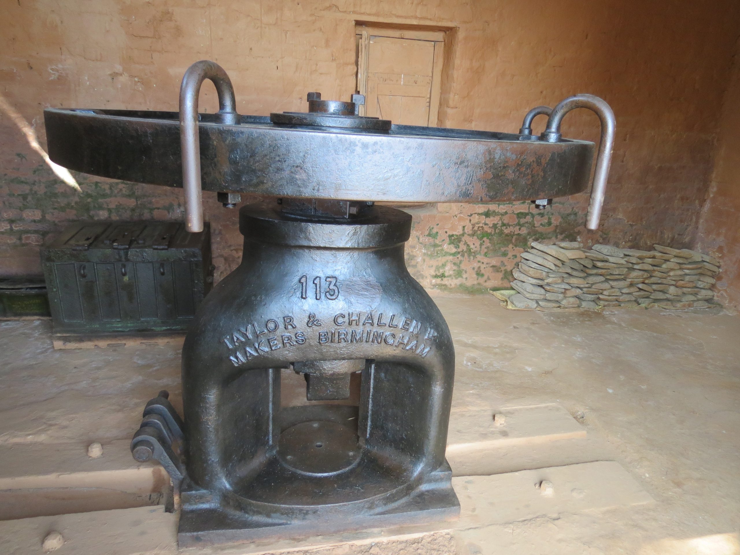 ६४ वर्ष पछि फेला पर्यो अनौठो चरा, आधा मानिस, आधा पंक्षी !