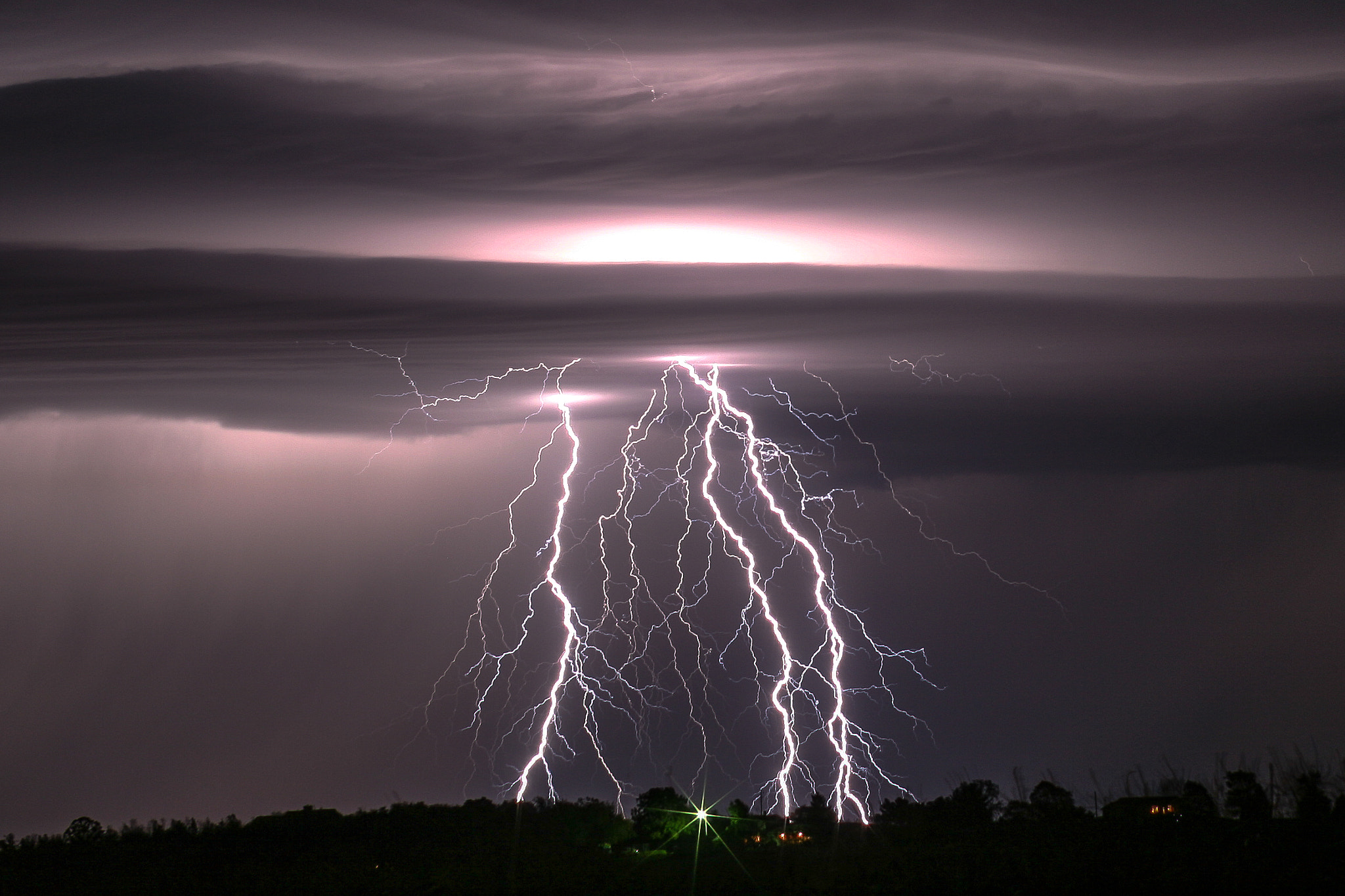 ६४ वर्ष पछि फेला पर्यो अनौठो चरा, आधा मानिस, आधा पंक्षी !
