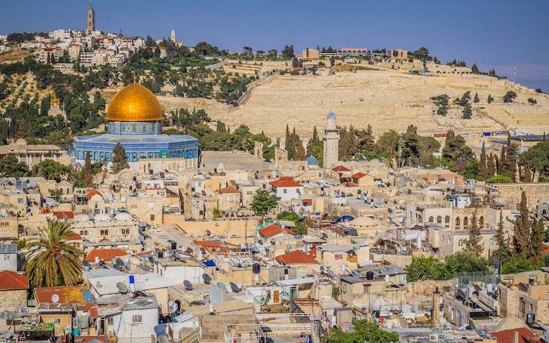 ६४ वर्ष पछि फेला पर्यो अनौठो चरा, आधा मानिस, आधा पंक्षी !