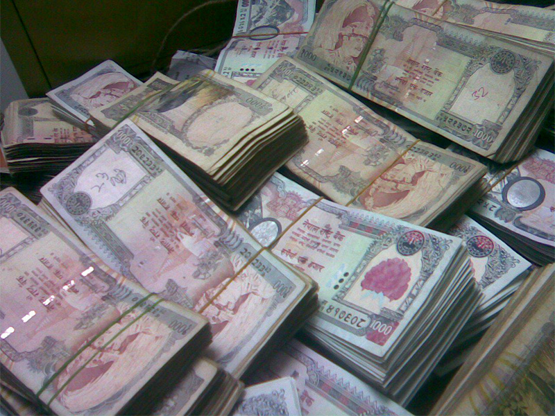 ६४ वर्ष पछि फेला पर्यो अनौठो चरा, आधा मानिस, आधा पंक्षी !