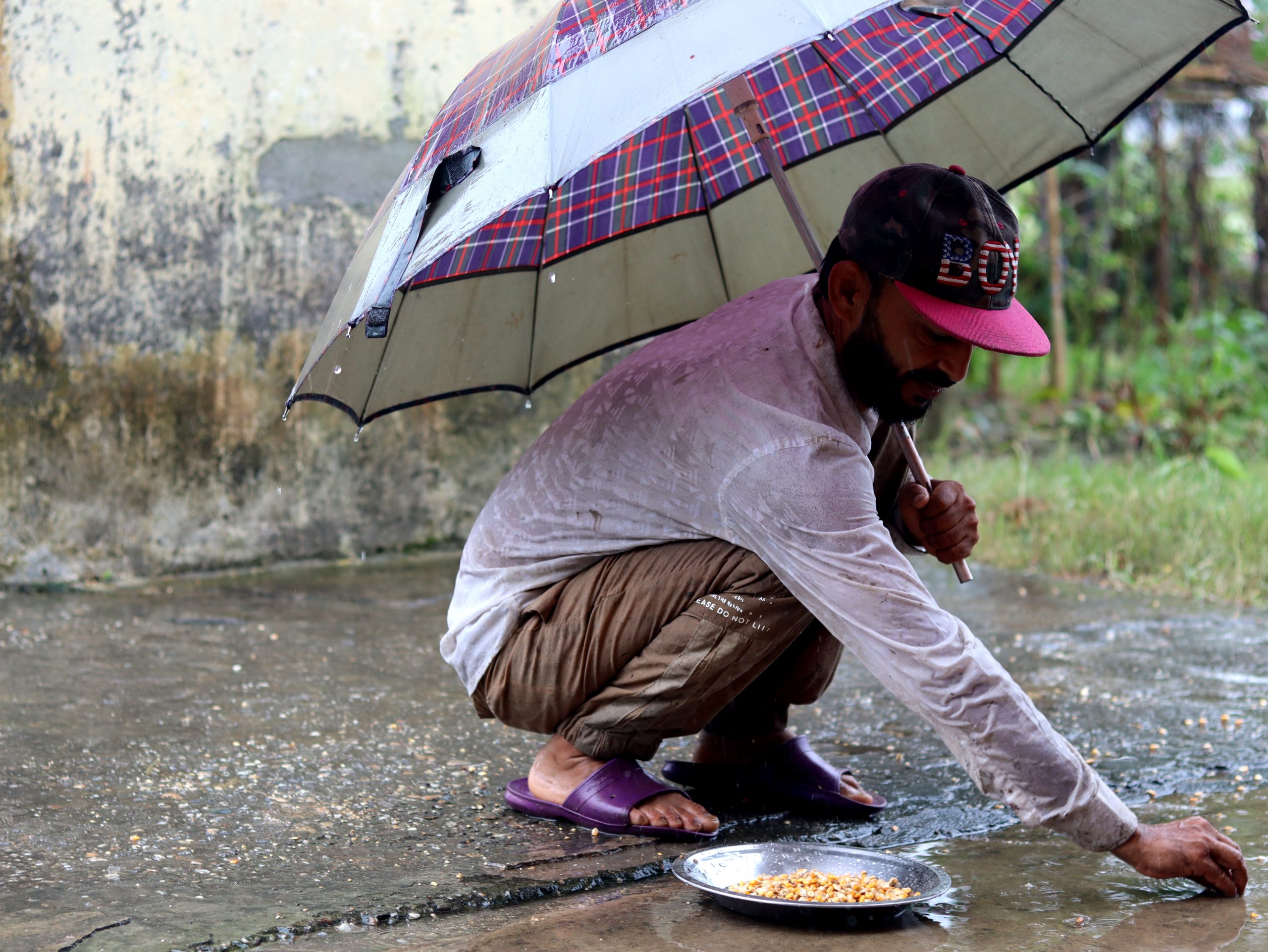 ६४ वर्ष पछि फेला पर्यो अनौठो चरा, आधा मानिस, आधा पंक्षी !