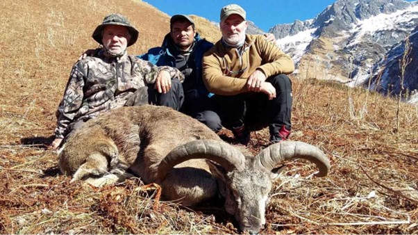 ६४ वर्ष पछि फेला पर्यो अनौठो चरा, आधा मानिस, आधा पंक्षी !