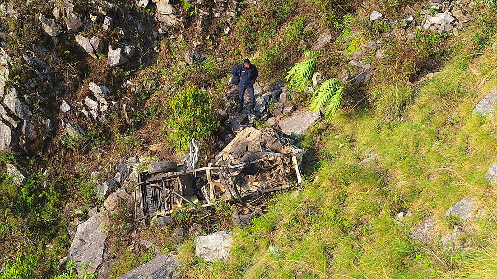 ६४ वर्ष पछि फेला पर्यो अनौठो चरा, आधा मानिस, आधा पंक्षी !