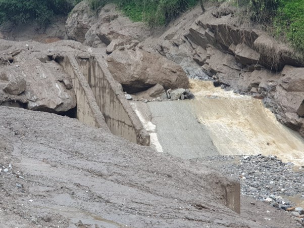 ६४ वर्ष पछि फेला पर्यो अनौठो चरा, आधा मानिस, आधा पंक्षी !