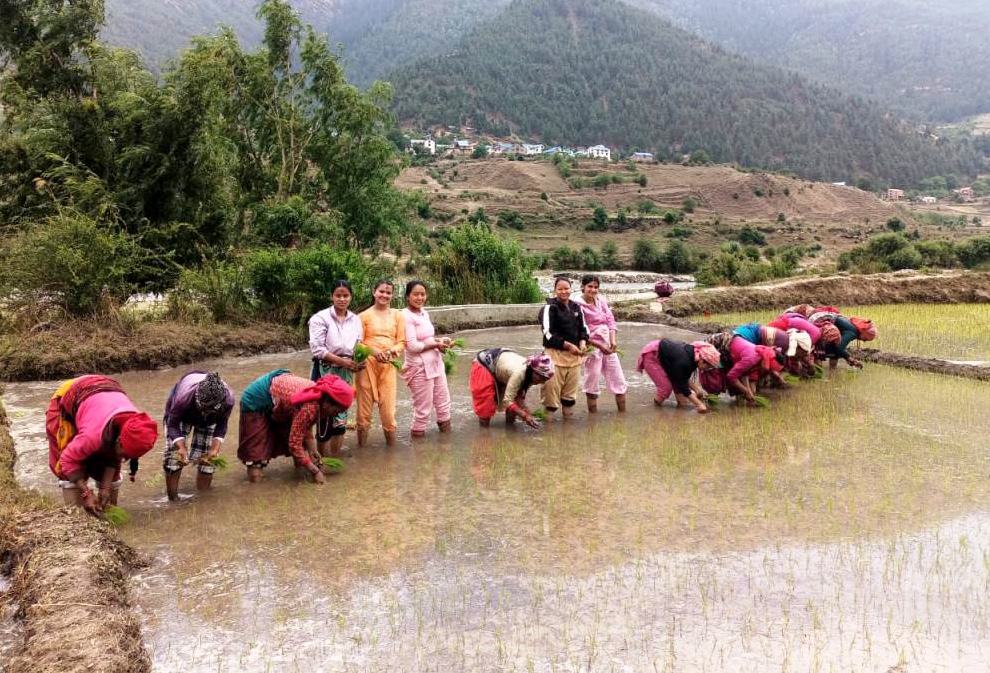 ६४ वर्ष पछि फेला पर्यो अनौठो चरा, आधा मानिस, आधा पंक्षी !