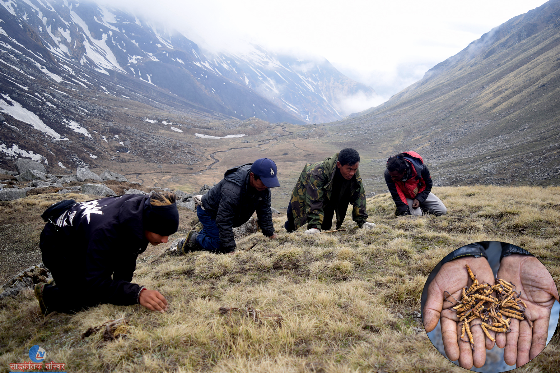 ६४ वर्ष पछि फेला पर्यो अनौठो चरा, आधा मानिस, आधा पंक्षी !